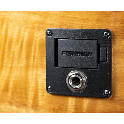 Breedlove Pursuit Exotic S CE Myrtlewood Concert Acoustic-Electric Guitar Bourbon Burst