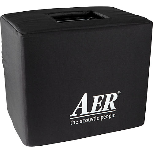 AER Domino 3 2x8 200W Stereo Acoustic Guitar Combo Amp