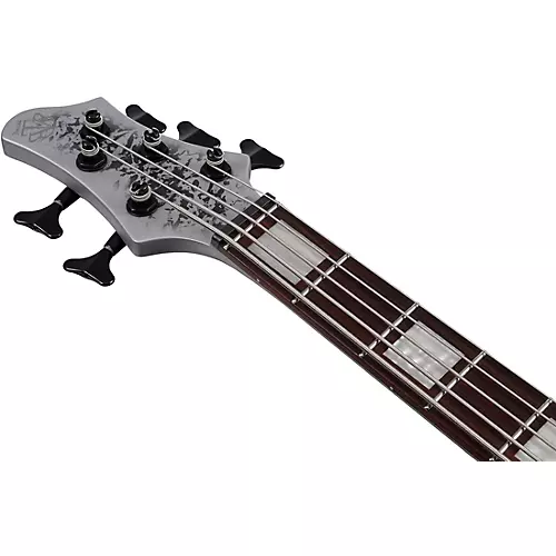 Ibanez BTB25TH5 5-String Electric Bass Guitar Silver Blizzard Matte