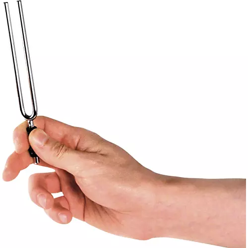 D'Addario Tuning fork A