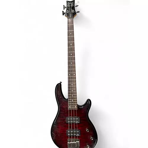 Used Schecter Guitar Research Raiden Special 4 String Black Cherry Electric Bass Guitar Black Cherry