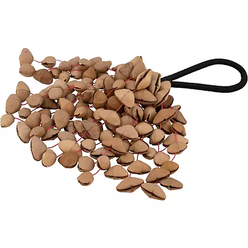 Pearl Kenari Nut Shaker