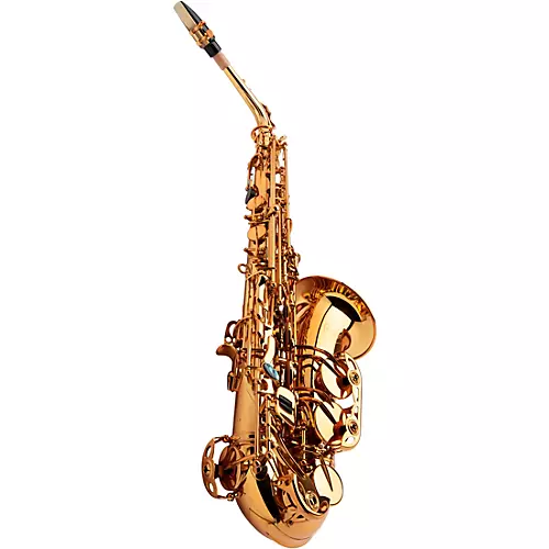 Allora AAS-580 Chicago Series Alto Saxophone Un-Lacquered Unlacquered Keys