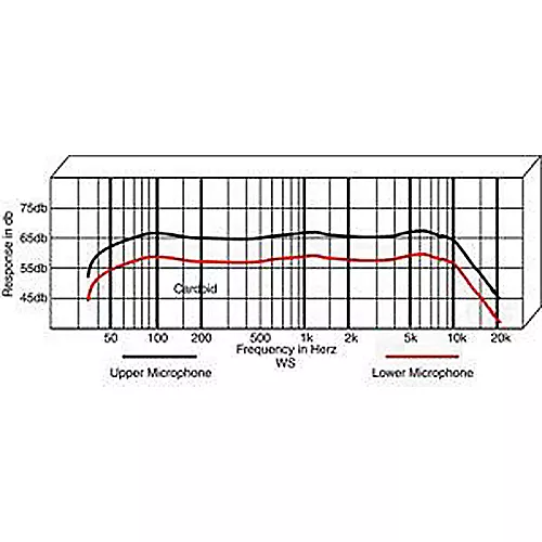 Applied Microphone Technology AMT WS Double Clarinet/Oboe Microphone with BP45 Preamp