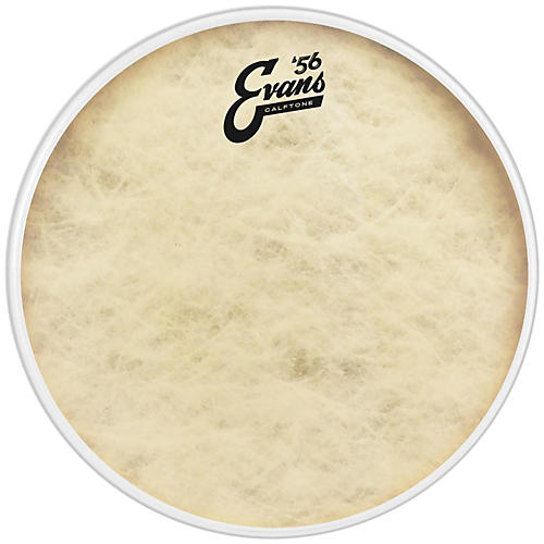 EVANS Calftone Drum Head 8 in.