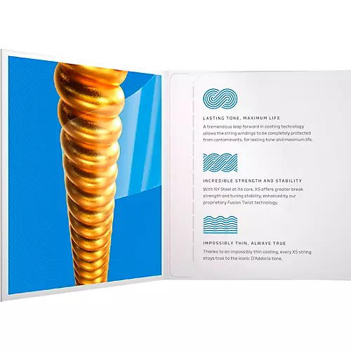 D'Addario XS Acoustic 80/20 Bronze Coated Guitar Strings, 12-String Light (10-47)