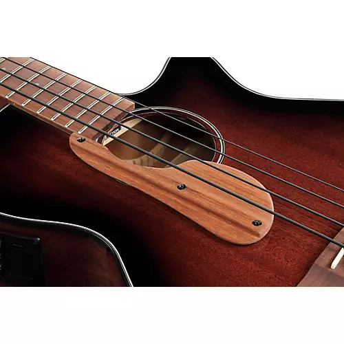 Ibanez AEGB24E Acoustic-Electric Bass Guitar Black Gloss