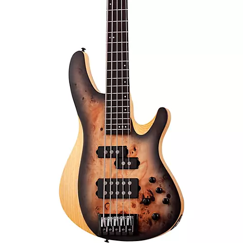 Schecter Guitar Research Reaper-5 5-String Electric Bass Guitar Satin Charcoal Burst