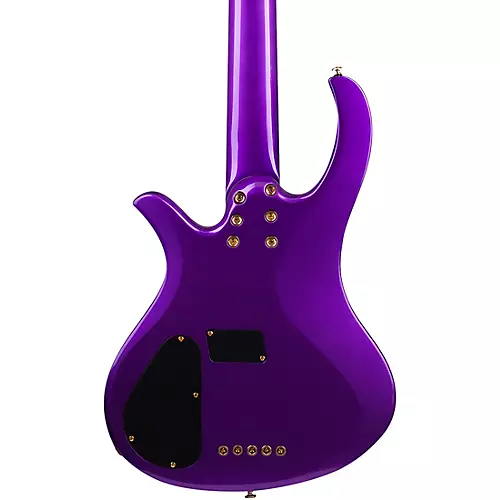 Schecter Guitar Research FreeZesicle-5 5-String Electric Bass Freeze Purple
