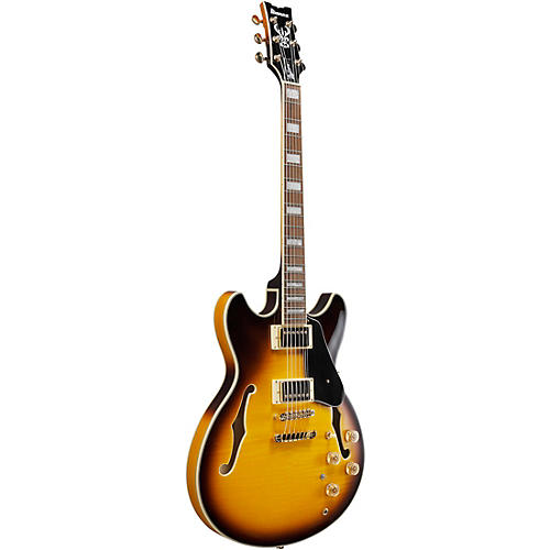 Ibanez John Scofield Signature Electric Guitar Two-tone Burst