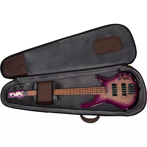Road Runner RR5TEB-ESP Highway Premium Electric Bass Gig Bag Espresso