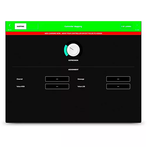 Audio Modeling ILIO SWAM String Sections Download