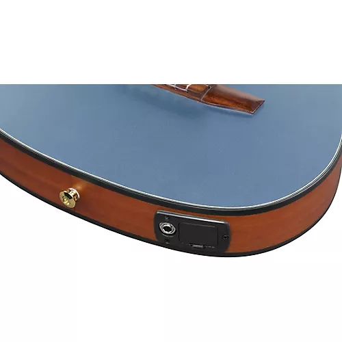 Ibanez FRH10N Nylon-String Acoustic-Electric Guitar Rose Gold Metallic Flat