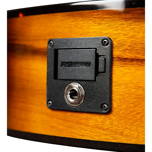 Breedlove Pursuit Exotic S CE Myrtlewood Concert Acoustic-Electric Guitar Bourbon Burst