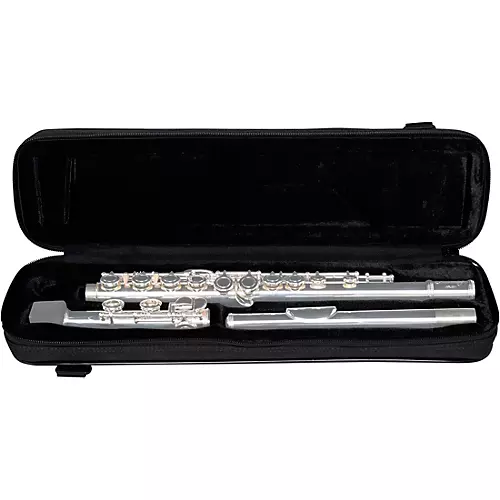 Gator GBB Largo Series Lightweight Beginner Flute Case