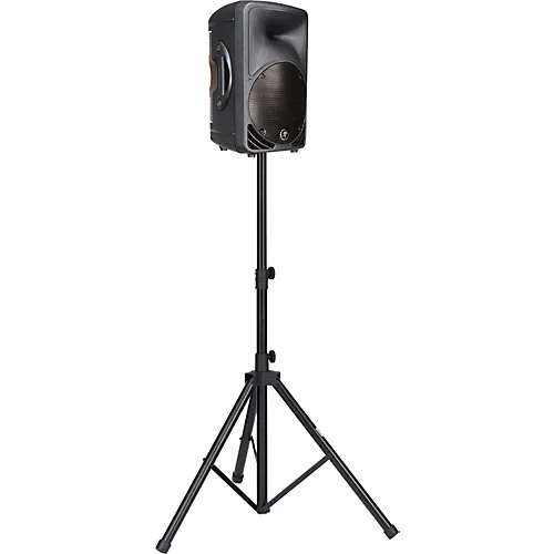 Mackie C200 Passive Speaker (Black) Black