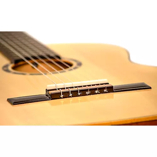 Ortega R121G Nylon Guitar Gloss Natural 4/4