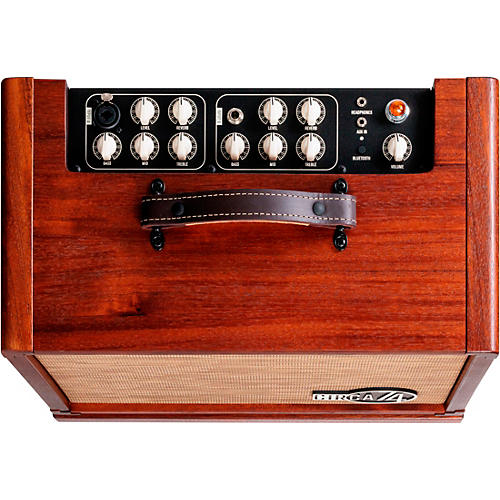 Circa 74 AV150-10 Acoustic Guitar and Vocal Amplifier With Amp Stand Mahogany