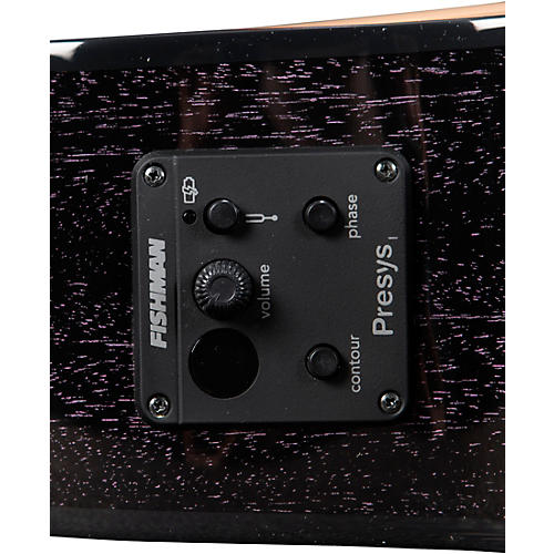 Breedlove Rainforest S African Mahogany Concert Acoustic-Electric Guitar Midnight Blue