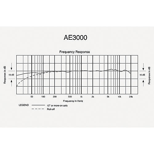 Audio-Technica AE3000 Instrument Condenser Microphone