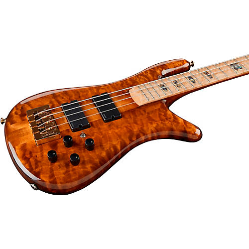 Spector NS2 Quilted Top/Fishman Electronics Tiger Eye