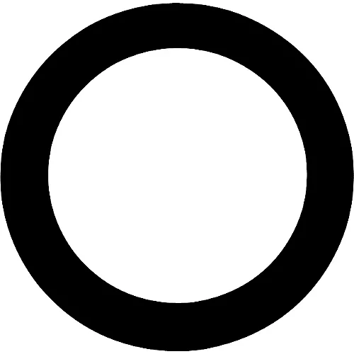 Aquarian Port Hole Black 5 in.