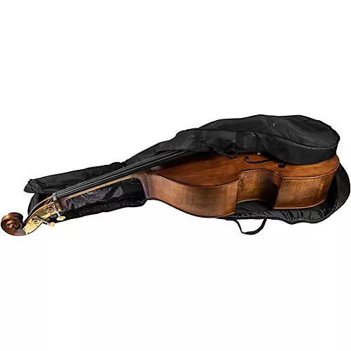 Scherl and Roth SR68 Sarabande Series Intermediate Double Bass Outfit 3/4