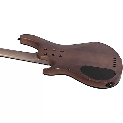 Schecter Guitar Research Omen Elite-5 5-String Electric Bass See-Thru Blue Burst