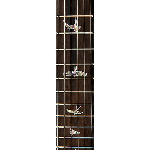 PRS 40th Anniversary Custom 24 Limited Edition Tiger Eye