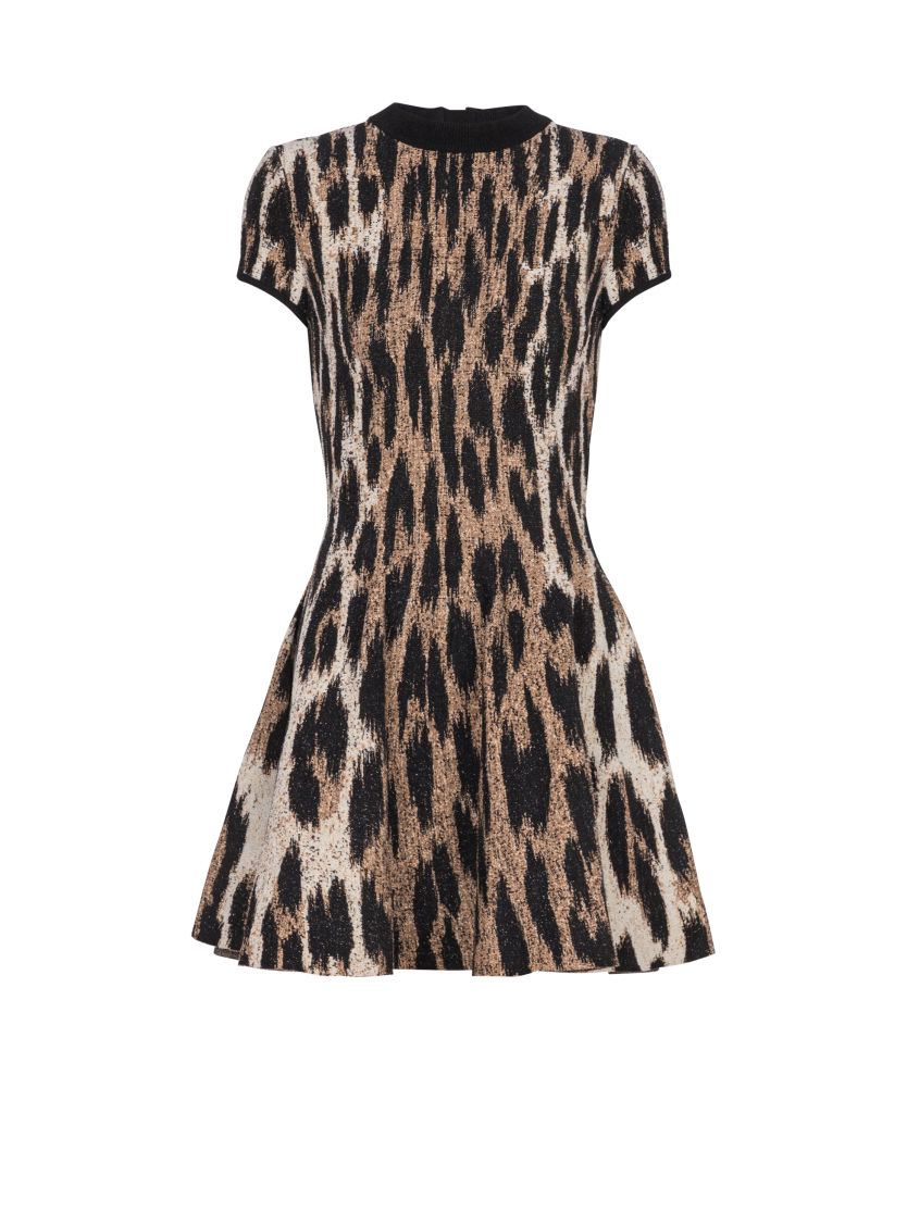 A-line leopard print jacquard dress