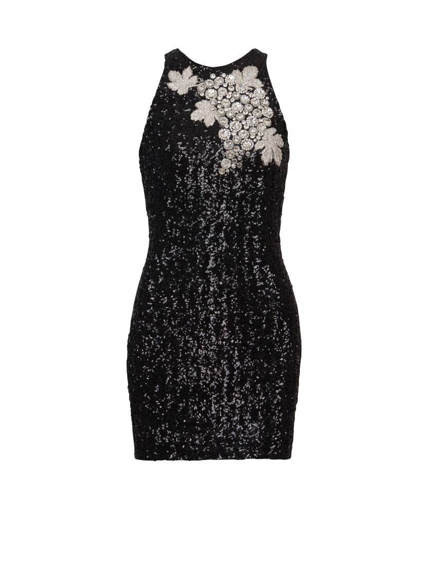 Sequin dress with Grape embroidery