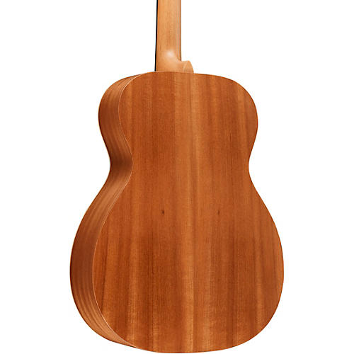 Martin OM Biosphere Acoustic Guitar Ocean