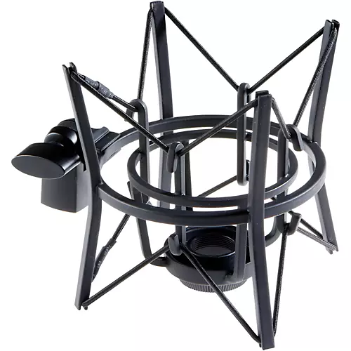 AKG P220 Project Studio Condenser Microphone