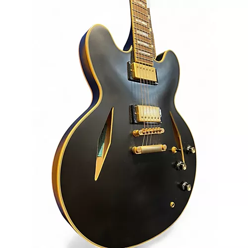 Used Epiphone emily wolfe sheraton Black Hollow Body Electric Guitar Black