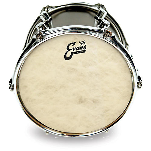 EVANS Calftone Drum Head 8 in.