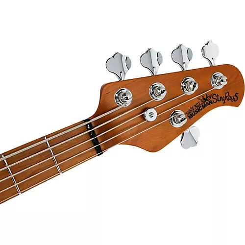 Ernie Ball Music Man StingRay5 Special H 5-String Electric Bass Guitar Black and Chrome