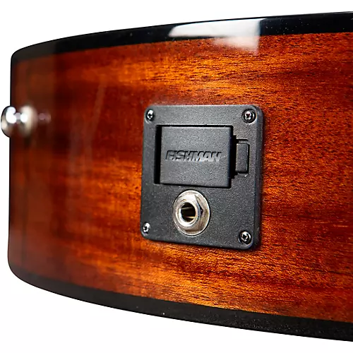 Breedlove Pursuit Exotic S CE Cedar-Myrtle Concert Acoustic-Electric Classical Guitar Natural