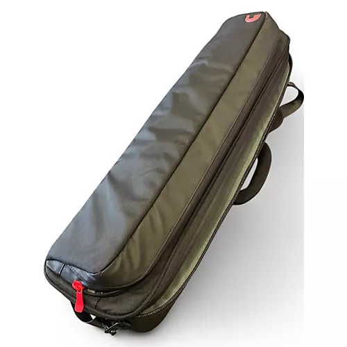 Used D'Addario xpnd with case Pedal Board