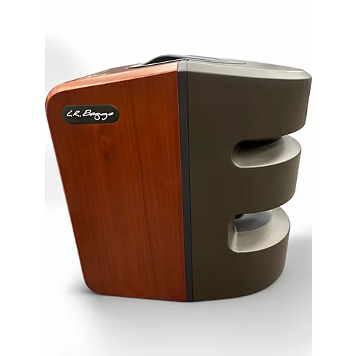 Used LR Baggs Synapse Powered Speaker