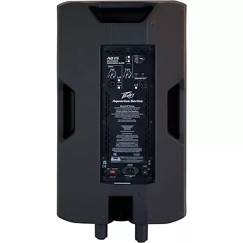 Peavey AQ 15 Full-Range 15