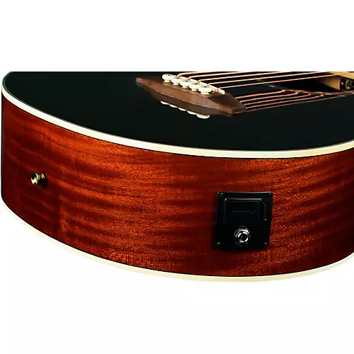 Ortega D8CE-5 5-String Acoustic-Electric Bass Guitar Black