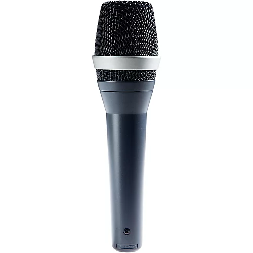 AKG D5 Supercardioid Handheld Dynamic Microphone