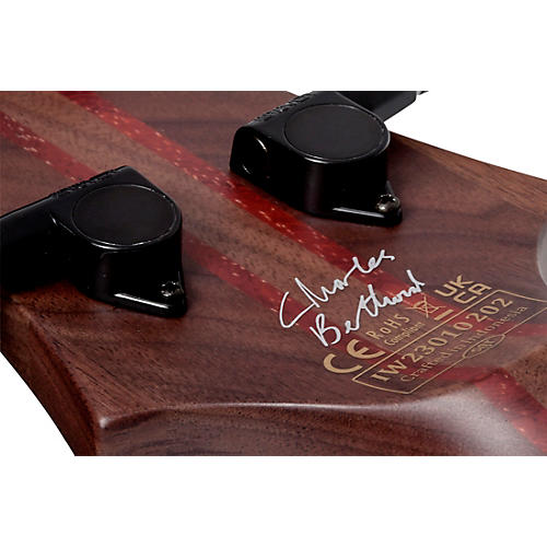 Schecter Guitar Research Charles Berthoud CB-4 Electric Bass See Thru Black Satin