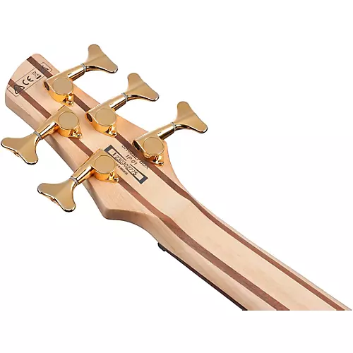 Ibanez SR405EPBDX 5-String Electric Bass Guitar Mars Gold Metallic Burst