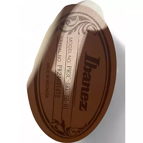 Used Ibanez PM3C-BKL Black Low Gloss Hollow Body Electric Guitar Black Low Gloss