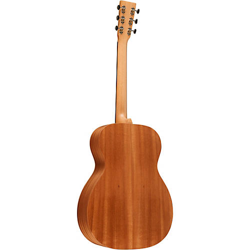 Martin OM Biosphere Acoustic Guitar Ocean