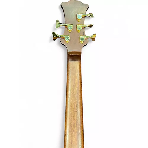 Used Cary Long Guitars Sauron Jeremy Pence signature Wenge/Mahogany Electric Bass Guitar Wenge/Mahogany