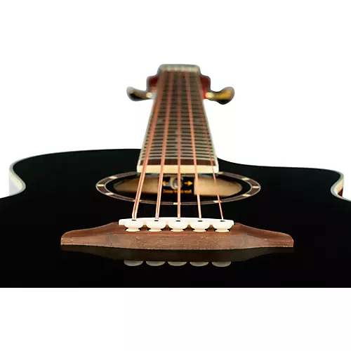 Ortega D8CE-5 5-String Acoustic-Electric Bass Guitar Black