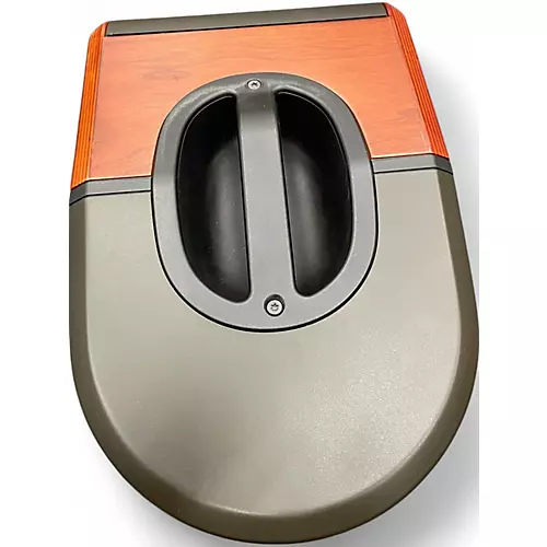 Used LR Baggs Synapse Powered Speaker