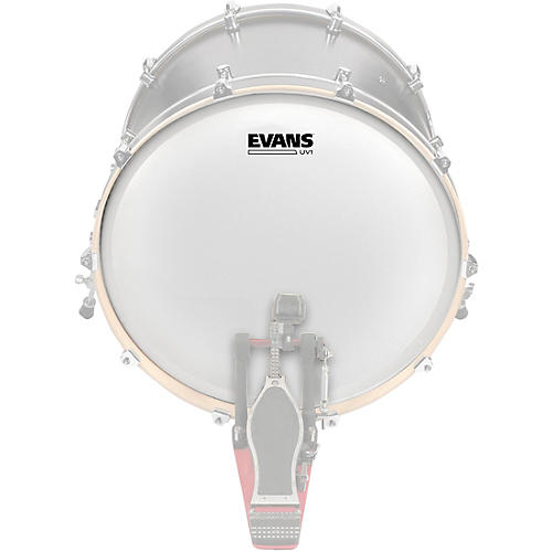 EVANS UV1 Bass Drum Head 20 in.
